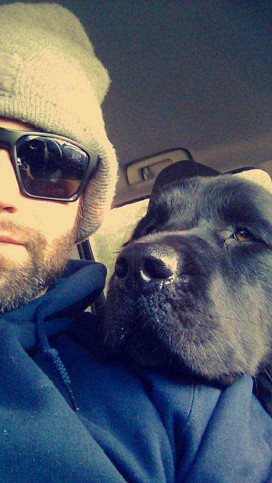 Lady joined the competition — help win amazing prizes! beard, canidae, carnivore, cloud, companion_dog, dog, dog_breed, eyewear, facial_hair, glasses, head, labrador_retriever, love, nose, photography, puppy_love, selfie, sky, snout, sporting_group