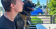 Salto a rejoint le concours — aidez-le/la à gagner de superbes lots ! bench, blue_sky, casual_clothing, chain_necklace, daylight, dog, greenery, happy_dog, harness, man, muzzle, outdoor, parked_cars, pet, phone, relaxed, short_hair, side_profile, sunny, table