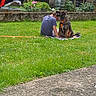 Salto a rejoint le concours — aidez-le/la à gagner de superbes lots ! back_view, blanket, building, casual_clothing, companionship, dog, fence, flower, garden, grass, greenery, harness, leisure, outdoor, pathway, person, pet, quiet, resting, sunny