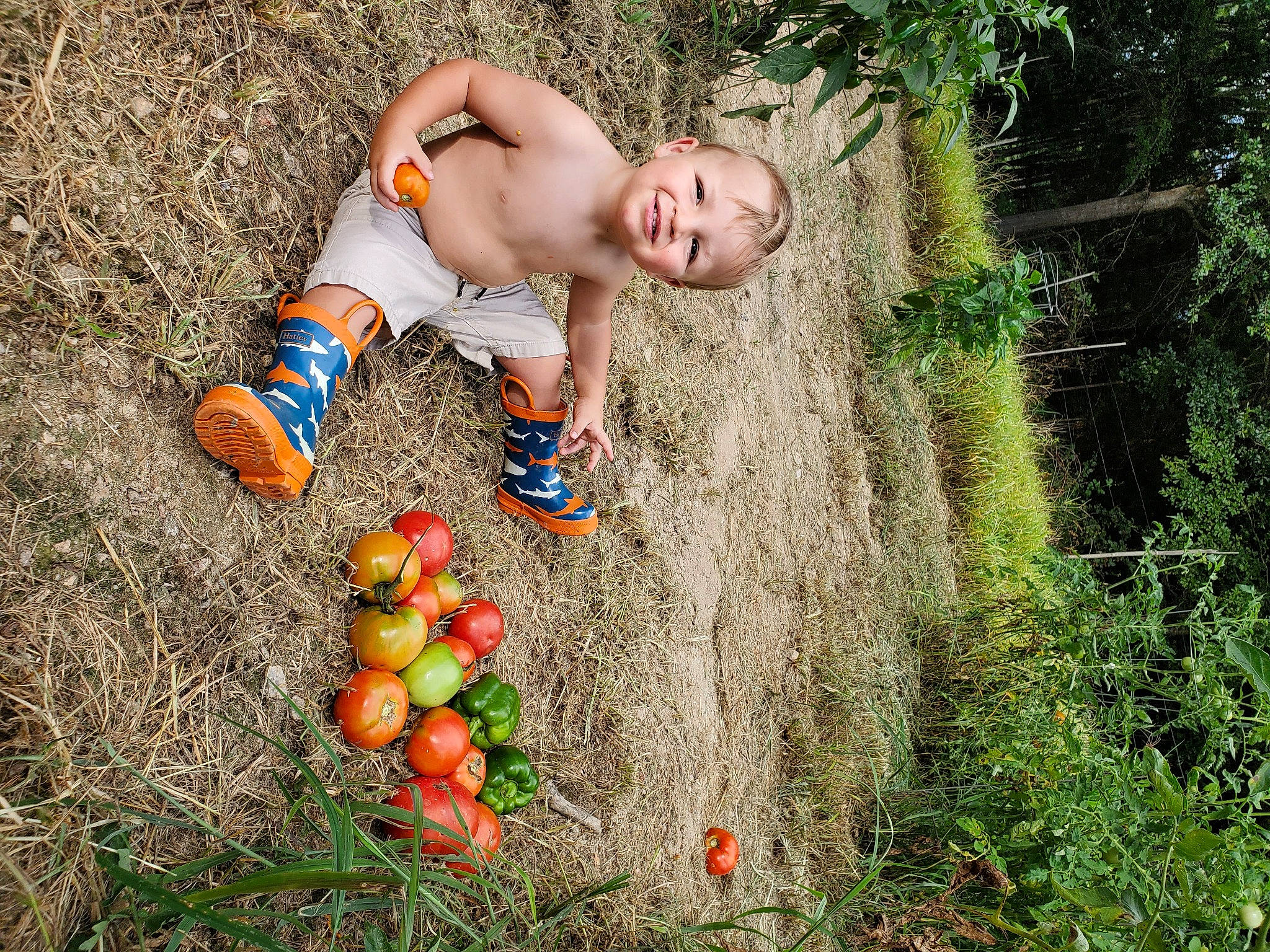 Chad is registered to the contest to win money with this photo: child, fruit, grass, joy, people_in_nature, person, plant, tree