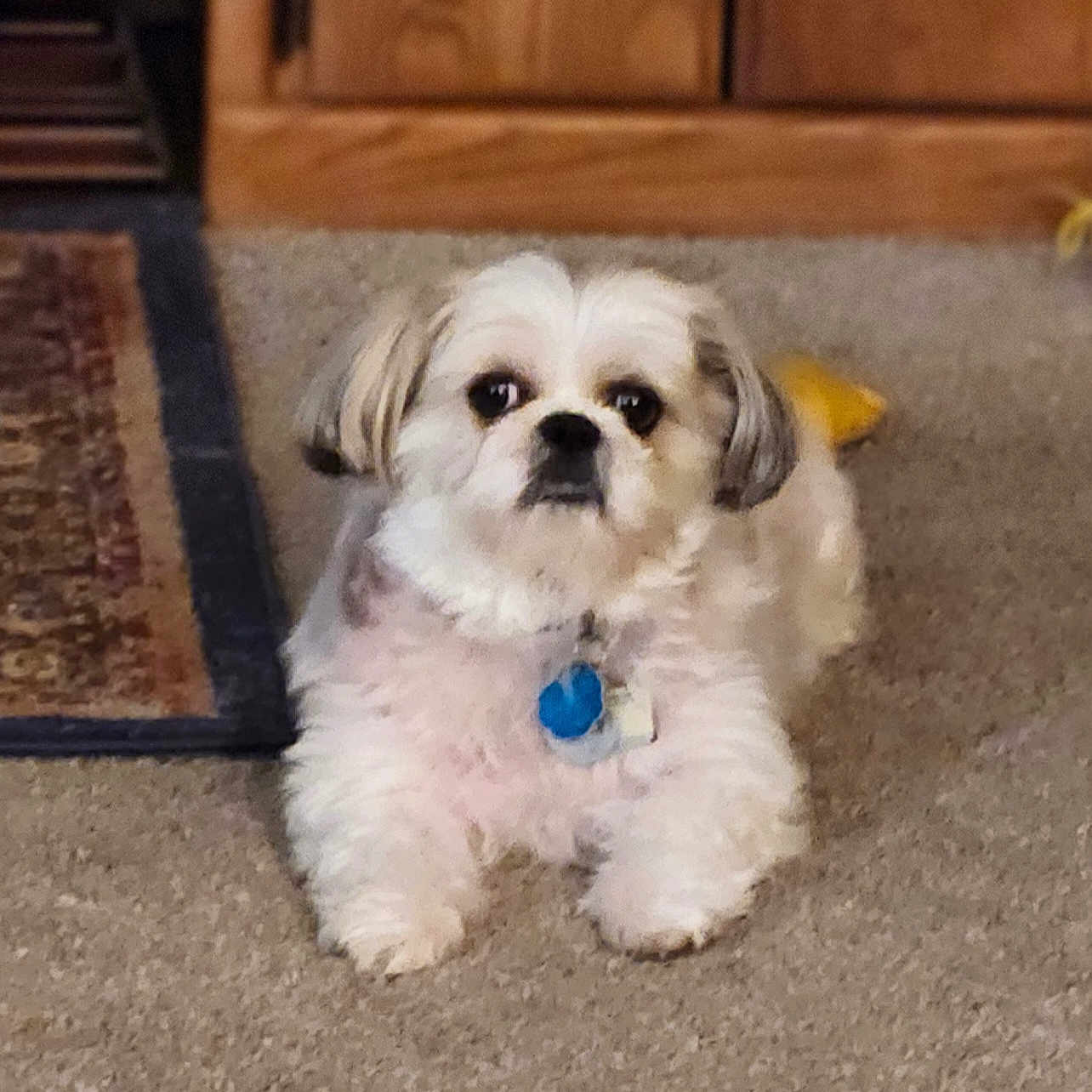 Zoey