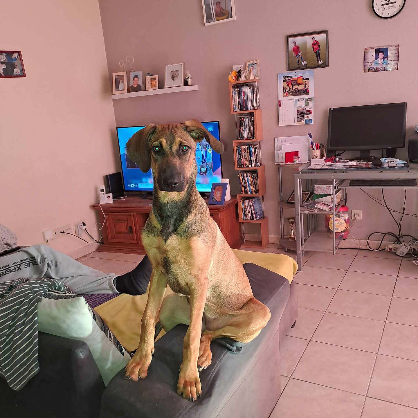 Roxy