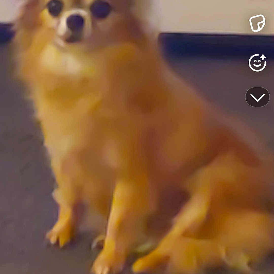 Nina