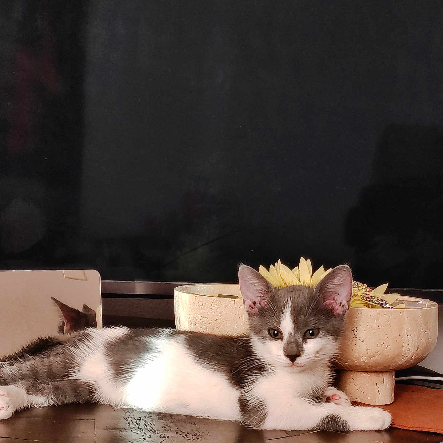 Echo