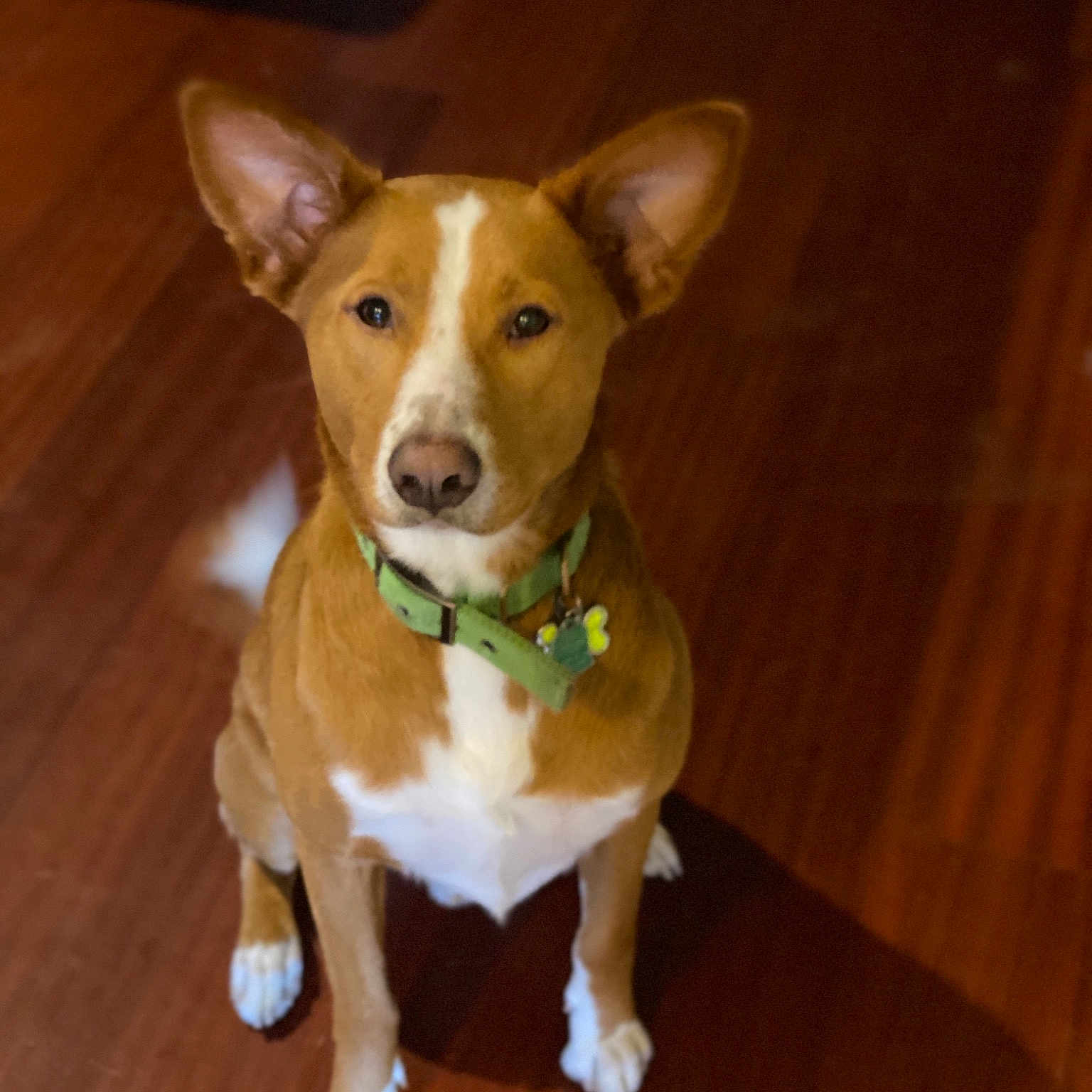 Whiskey Tango Foxtrot