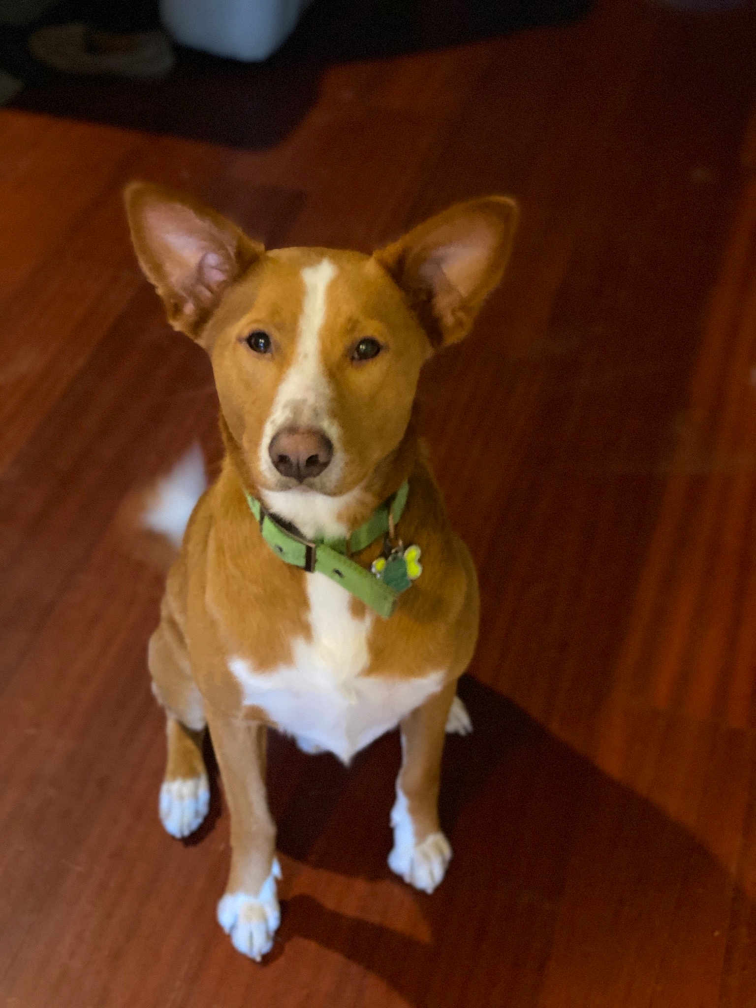 Whiskey Tango Foxtrot