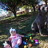 baby, dog, grass, easter_eggs, plush_toy, basket, tree, sunlight, outdoor, headband, pink_clothing, pet, yard, fence, nature, shadow, playtime, child, animal, spring