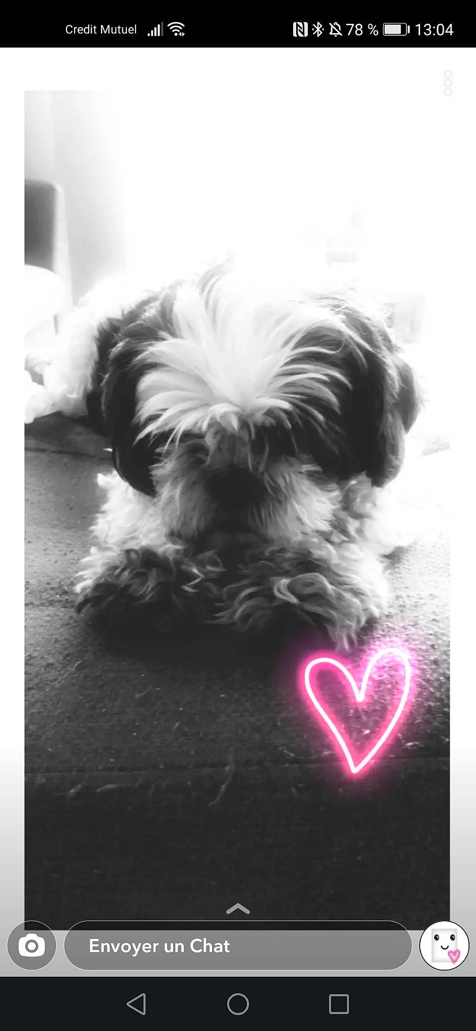 Lilou participe au concours pour gagner de l'argent avec cette photo : art, canidae, carnivore, companion_dog, dog, dog_breed, dog_supply, font, fur, happy, heart, liver, monochrome_photography, small_terrier, snout, sporting_group, still_life_photography, terrier, toy_dog, working_animal