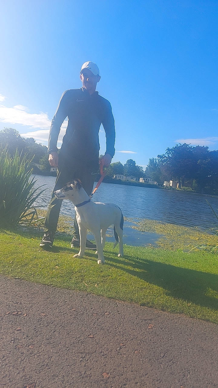 Panda is registered to the contest to win money with this photo: carnivore, cloud, companion_dog, dog, dog_breed, grass, grassland, hill, horizon, landscape, leash, leg, leisure, pasture, plant, recreation, sky, sporting_group, tree, walking