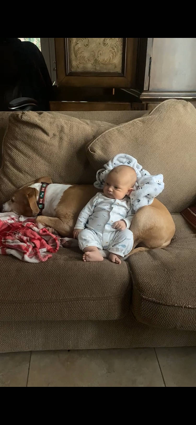 Mylo joined the competition — help win amazing prizes! baby, baby_toddler_clothing, bedtime, cheek, child, comfort, couch, flooring, home_appliance, lap, linens, living_room, nap, person, room, sitting, sleep, television, throw_pillow, toddler