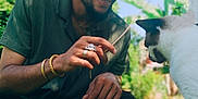 Senua a rejoint le concours — aidez-le/la à gagner de superbes lots ! man, cat, grass, outdoor, greenery, sunlight, sunglasses, cap, beard, casual_clothing, nature, pet, happy, smiling, jewelry, bracelet, ring, playing, interaction, relaxation