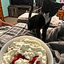 Mac joined the competition — help win amazing prizes! cat, tuxedo_cat, pet, whiskers, strawberries, whipped_cream, dessert, bowl, blanket, bed, cozy, indoor, furniture, television, dresser, curious, portrait, close_up, paw, nightstand