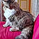 Clochette