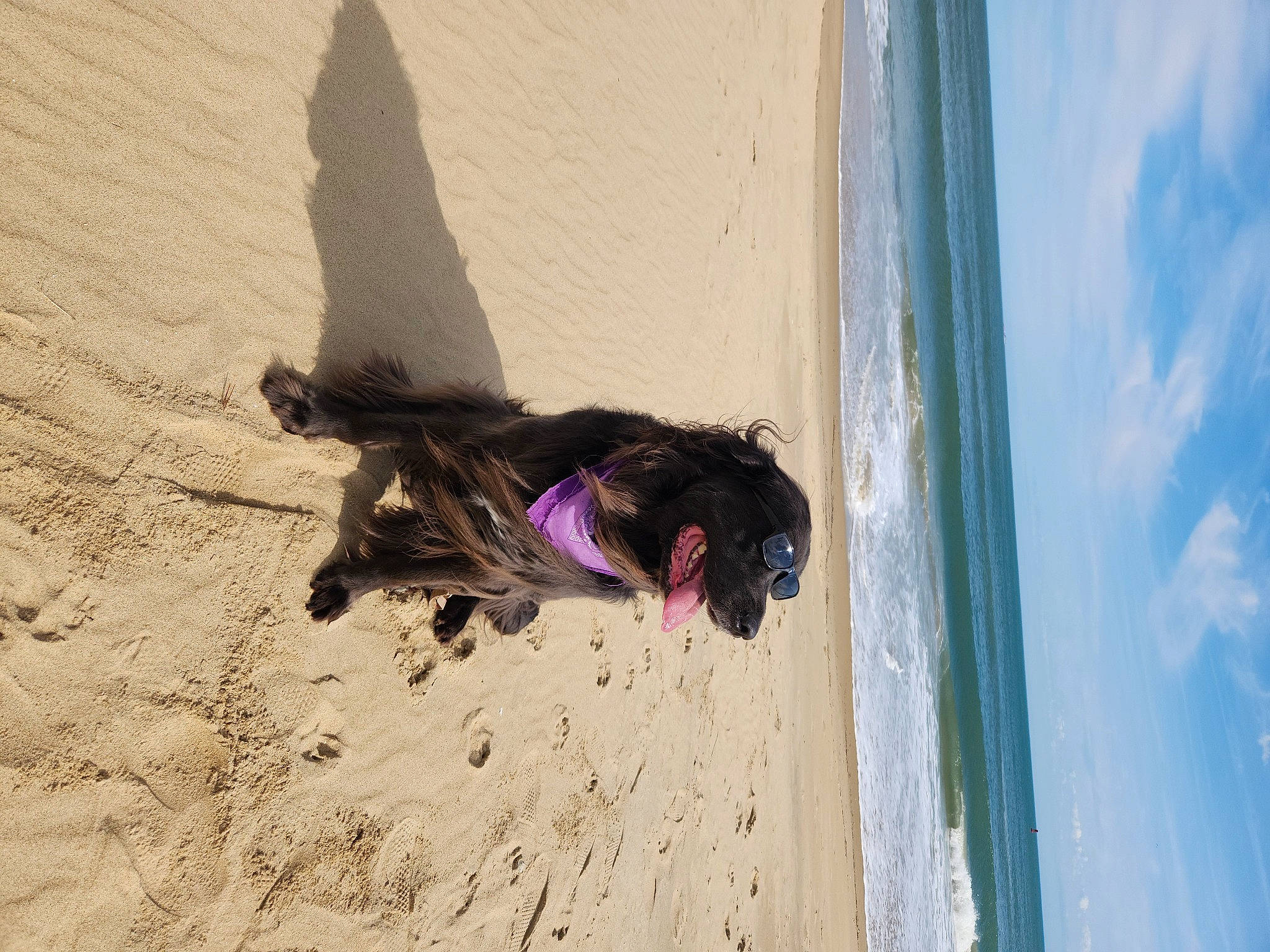 Sadie Mae is registered to the contest to win money with this photo: beach, cloud, coast, fun, landscape, leisure, ocean, recreation, sand, shore, singing_sand, sky, sporting_group, tree, water, wave, wind, wind_wave, window, wood