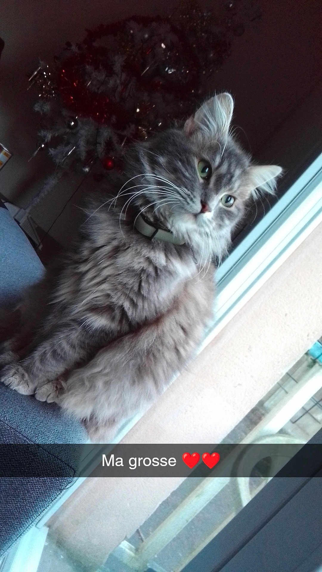 Moumoune
