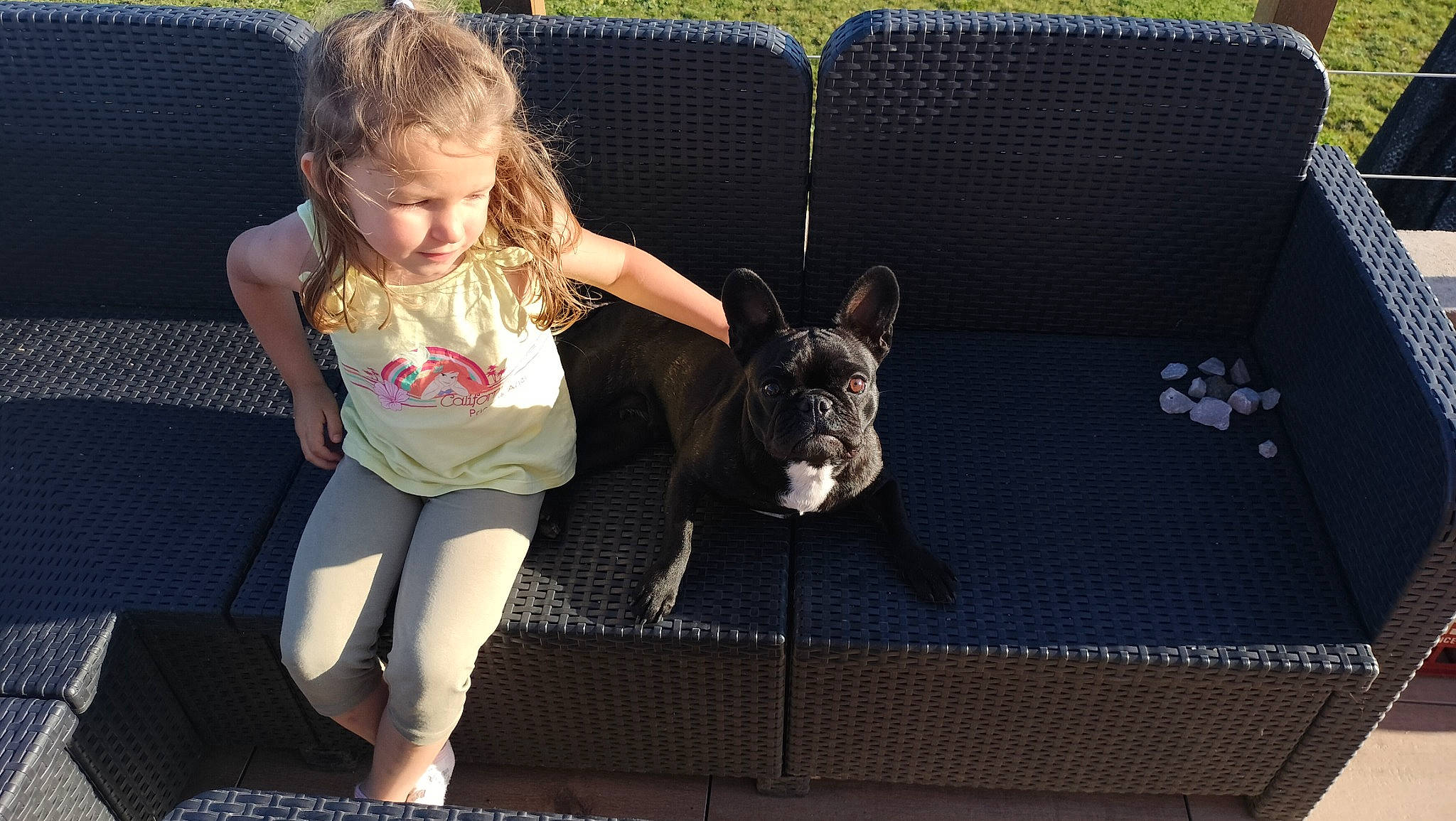 Olyanna a rejoint le concours — aidez-le/la à gagner de superbes lots ! canidae, carnivore, chair, comfort, companion_dog, dog, dog_breed, fawn, fun, grass, happy, human_leg, knee, lap, leisure, person, sitting, sporting_group, thigh, toddler