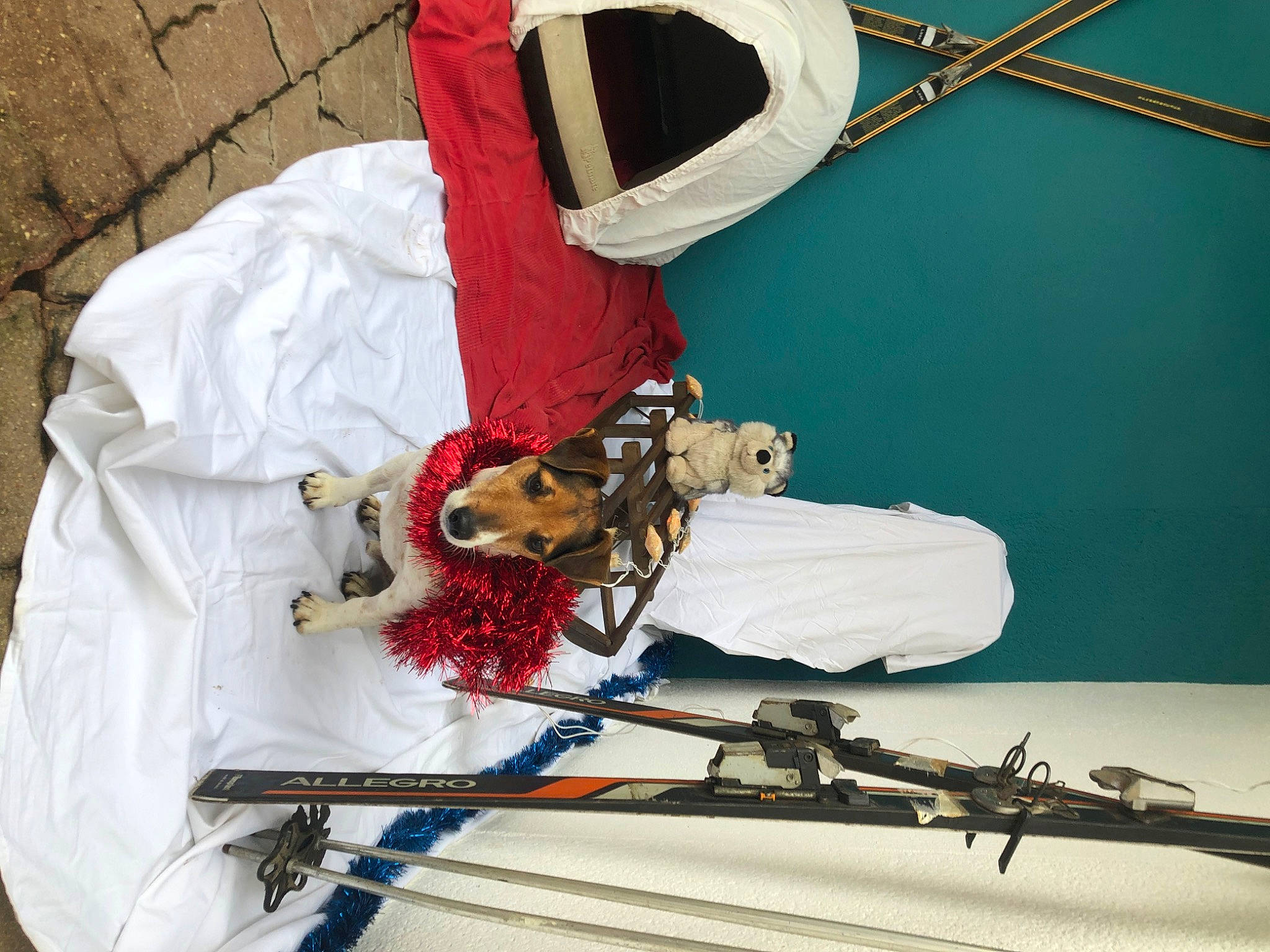 Lucky participe au concours pour gagner de l'argent avec cette photo : carmine, costume_design, event, fashion_accessory, fashion_design, linens, machine, room, shotgun, textile, twig, white