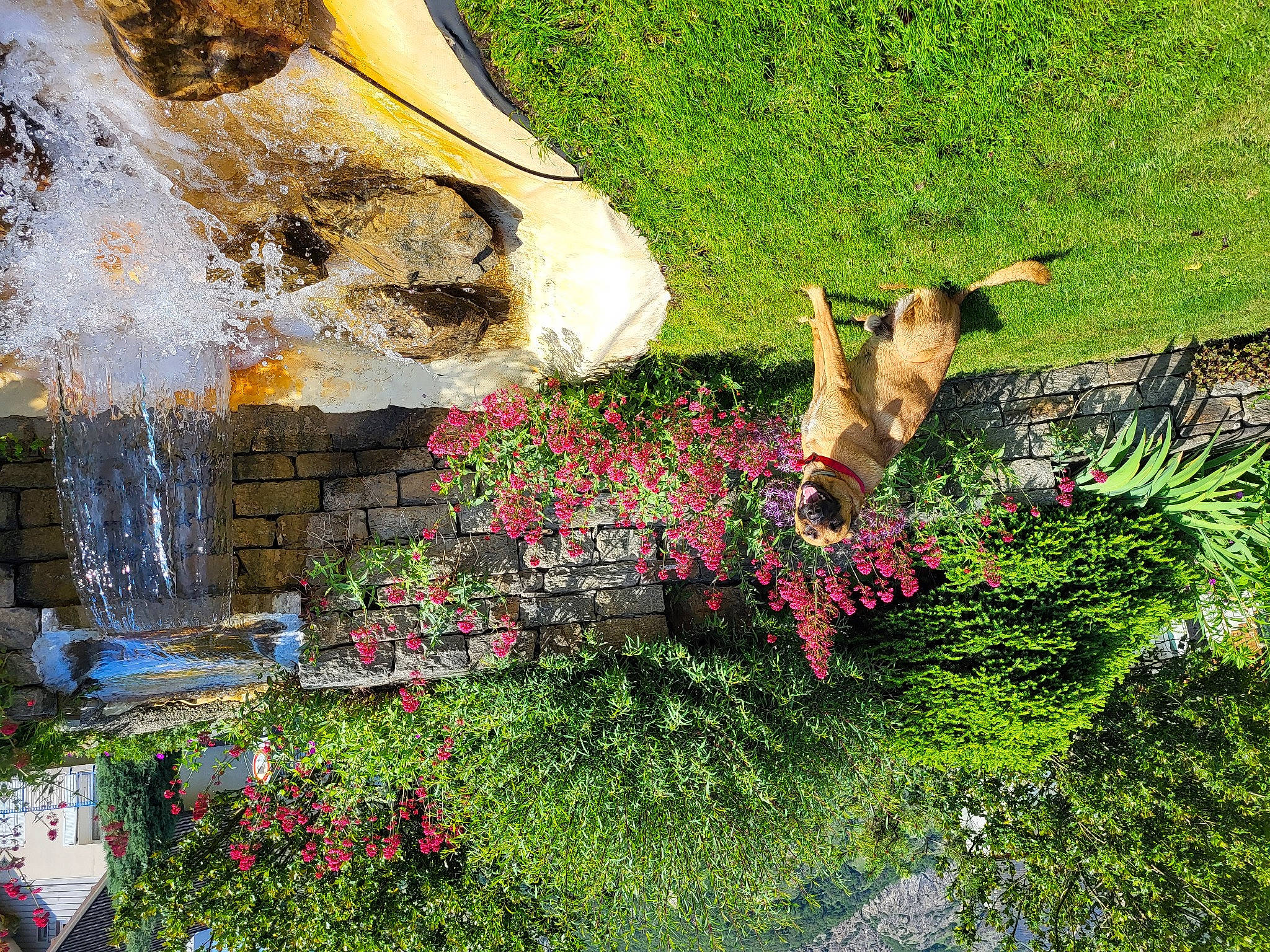 Peyrou participe au concours pour gagner de l'argent avec cette photo : art, biome, botany, flower, grass, groundcover, landscape, leisure, natural_landscape, organism, painting, people_in_nature, plant, rural_area, shrub, summer, vegetation, watercourse, waterfall, wilderness