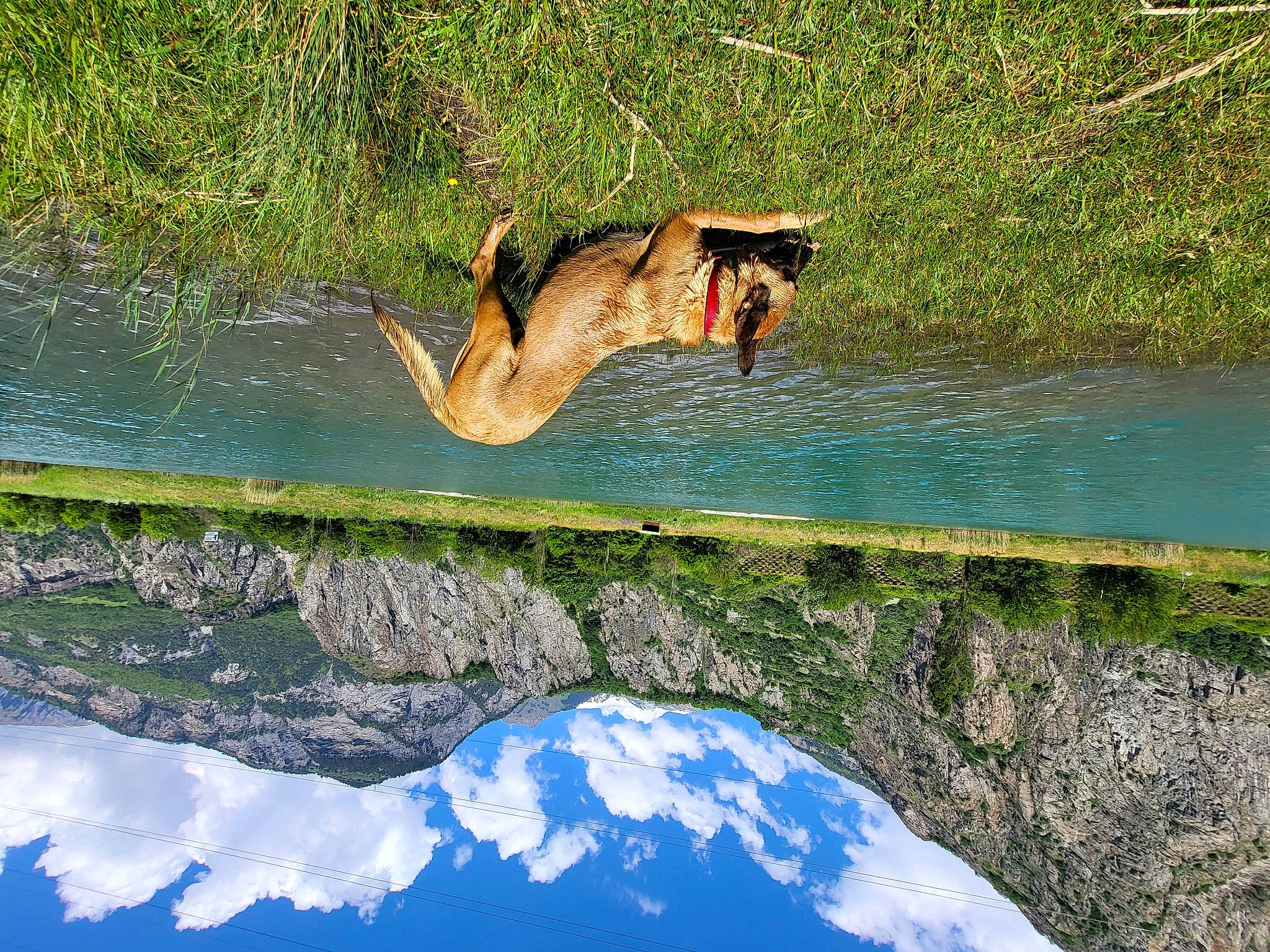 Peyrou a rejoint le concours — aidez-le/la à gagner de superbes lots ! azure, bank, biome, dress, forest, fun, grass, lake, landscape, leisure, natural_landscape, nature, people_in_nature, plant, recreation, reflection, tree, water, watercourse, wildlife