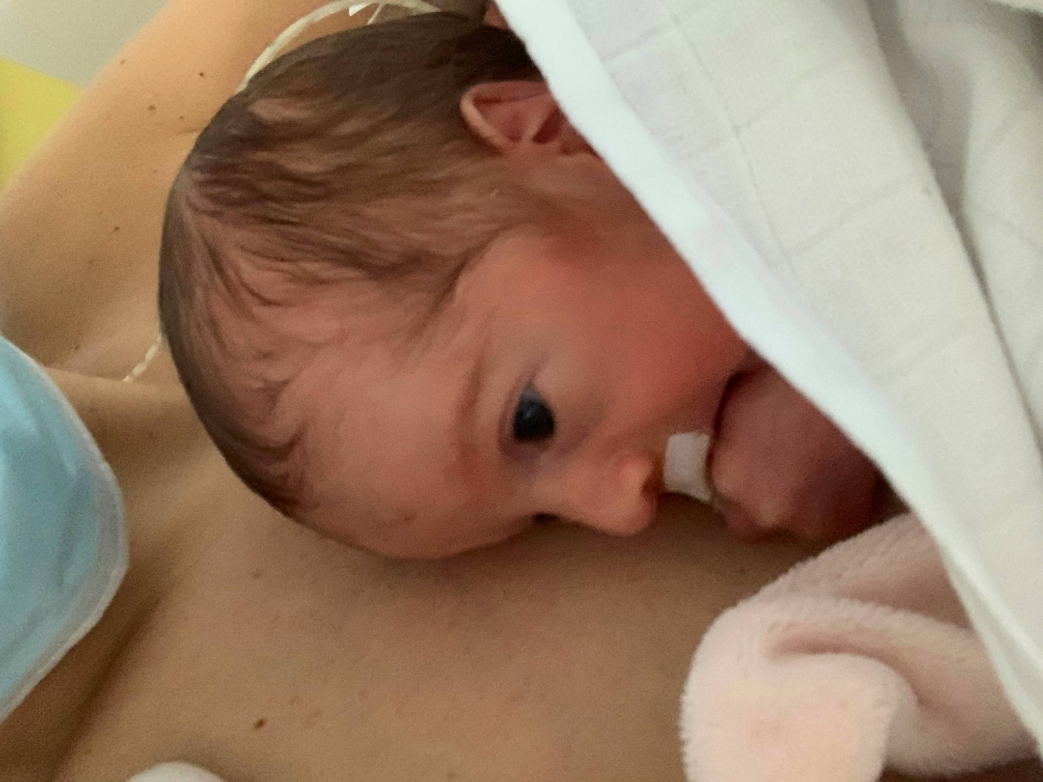 Cléa participe au concours pour gagner de l'argent avec cette photo : baby, baby_sleeping, cheek, chest, child, comfort, ear, eye, eyebrow, eyelash, finger, gesture, happy, linens, lip, mouth, neck, nose, person, skin