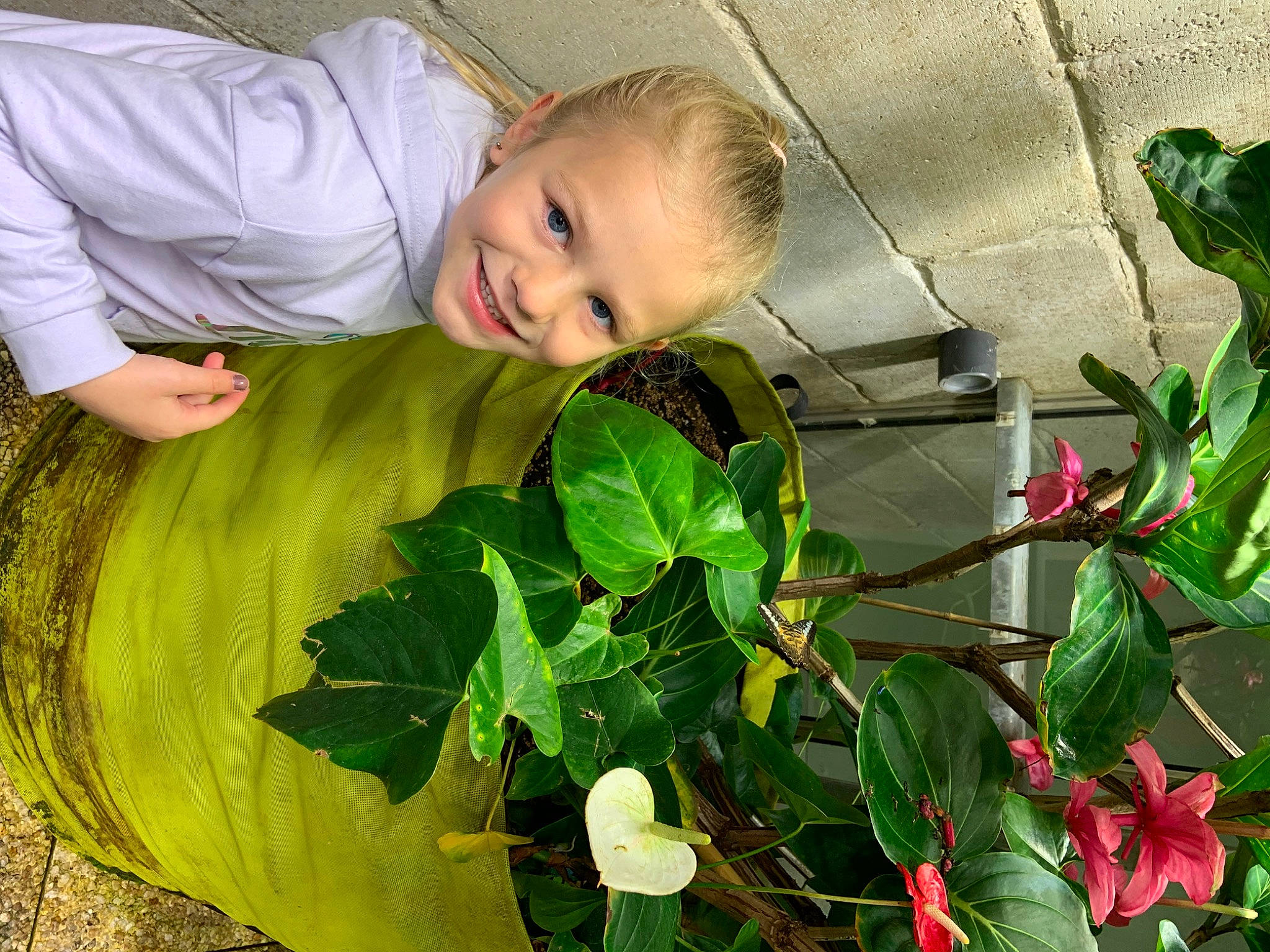 Mila participe au concours pour gagner de l'argent avec cette photo : annual_plant, eye, flower, flowering_plant, flowerpot, green, happy, houseplant, joy, leaf_vegetable, pattern, people_in_nature, person, petal, plant, pumpkin, smile, t_shirt, toddler, tree