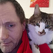 Frederic Salagnac a rejoint le concours — aidez-le/la à gagner de superbes lots ! animal, apple, casual, cat, closeup, cozy, curious, face, feline, human, indoor, man, painting, pet, portrait, red_blanket, relaxed, shoulder, wall_art, water_droplets