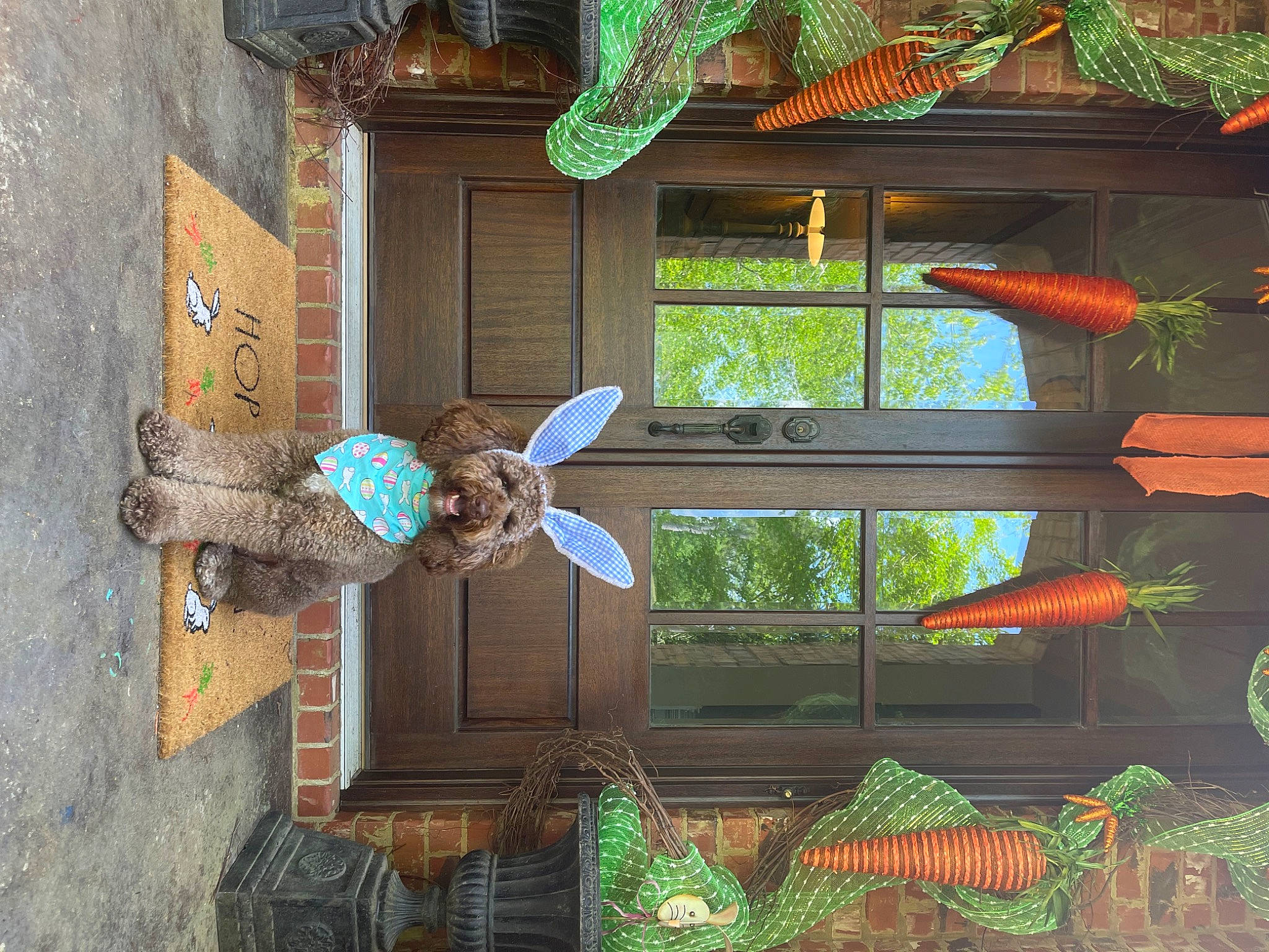 Hershel joined the competition — help win amazing prizes! architecture, door, facade, glass, green, home, house, light, metal, natural_material, organism, plant, property, red, room, terrestrial_plant, wall, wheel, window, wood