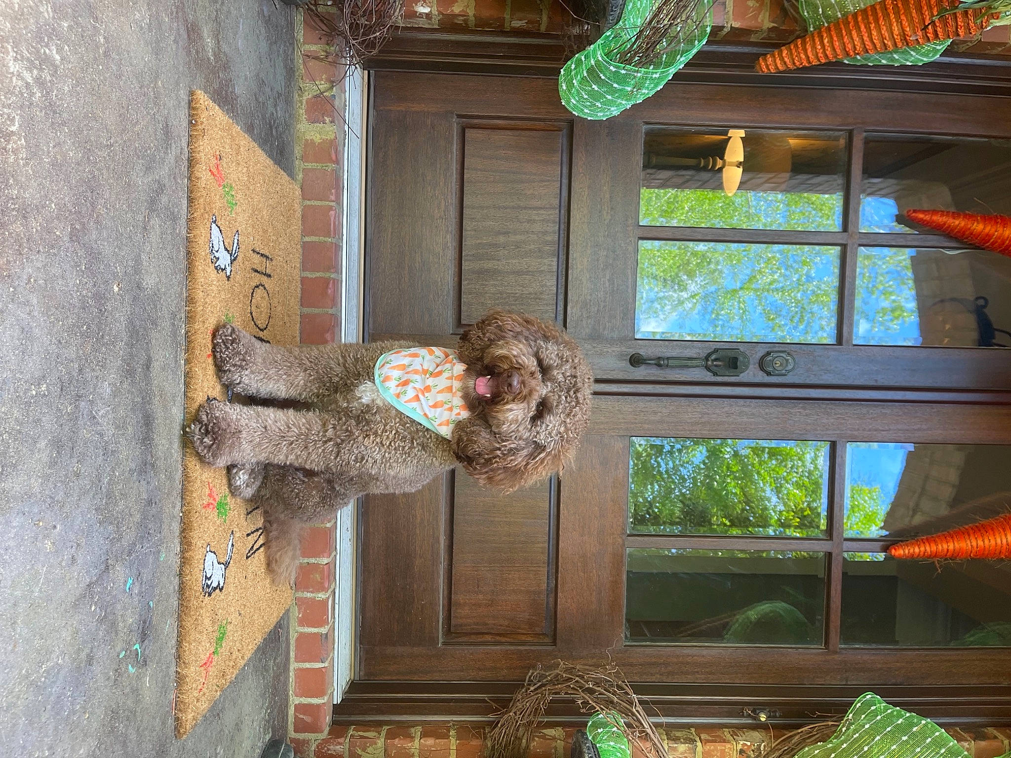 Hershel is registered to the contest to win money with this photo: building, ceiling, door, facade, fun, glass, green, home, home_door, house, leisure, light, plant, room, street_fashion, tints_and_shades, tree, visual_arts, window, wood