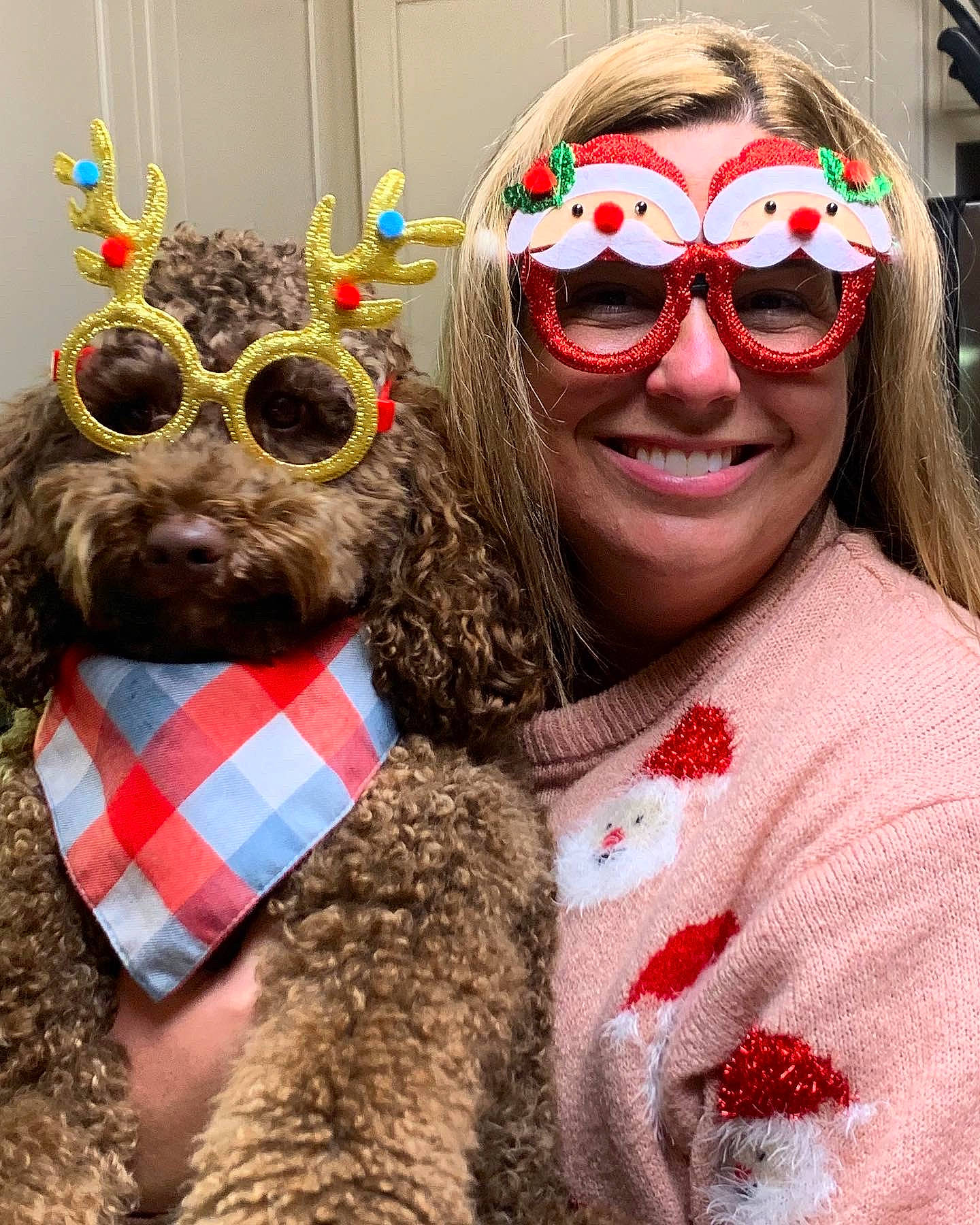 Hershel joined the competition — help win amazing prizes! carnivore, companion_dog, dog, dog_breed, dog_collar, event, eyewear, fun, fur, glasses, goggles, happy, headgear, poodle, selfie, smile, sunglasses, vision_care, water_dog, working_animal