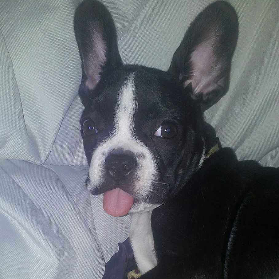 Tyson