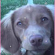 Ekko participe au concours pour gagner de l'argent avec cette photo :