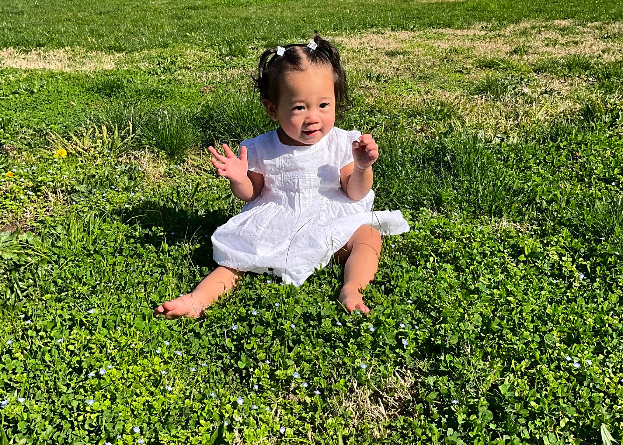 Lumi is registered to the contest to win money with this photo: baby, baby_toddler_clothing, child, day_dress, field, fun, grass, grass_family, grassland, groundcover, happy, lawn, meadow, people_in_nature, person, plant, prairie, shrub, sitting, sleeve