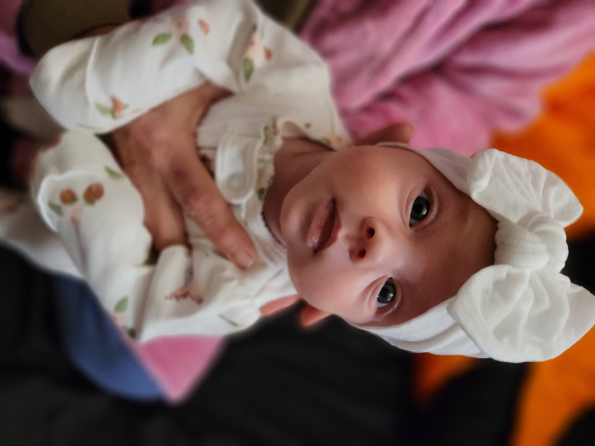 Winter is registered to the contest to win money with this photo: arm, baby, cheek, child, doll, dress, eyebrow, eyelash, hand, happy, headwear, human_body, iris, lip, nose, person, petal, pink, plant, skin