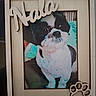 dog, pet, black_and_white, small_dog, portrait, framed_photo, picture_frame, animal, canine, sitting, short_fur, white_fur, black_fur, dog_face, nose, eyes, paw_print, wooden_decoration, indoor, home_decor