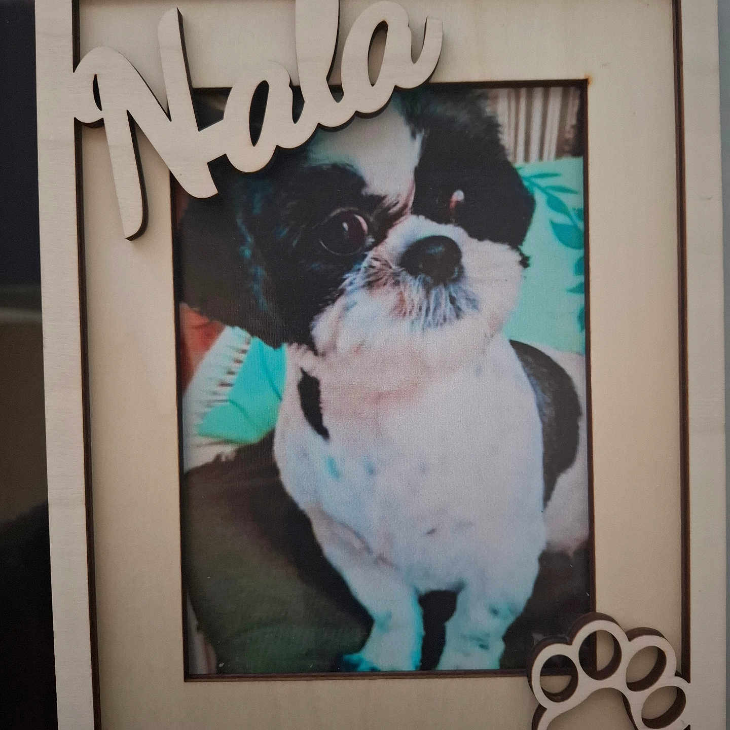 Nala