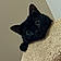 Bagheera