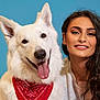 dog, white_dog, bandana, red_bandana, smiling_woman, woman, long_hair, curly_hair, portrait, happy, blue_background, pet, animal, companion, friendship, indoor, face, tongue_out, cute, closeup