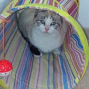 Caline a rejoint le concours — aidez-le/la à gagner de superbes lots !