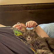 Baby joined the competition — help win amazing prizes! person, cat, glasses, bed, pillow, headboard, tattoo, nail_polish, shirt, relaxing, indoor, resting, cozy, feline, pet, snuggling, comfort, sleepy, gray_cat, closeup