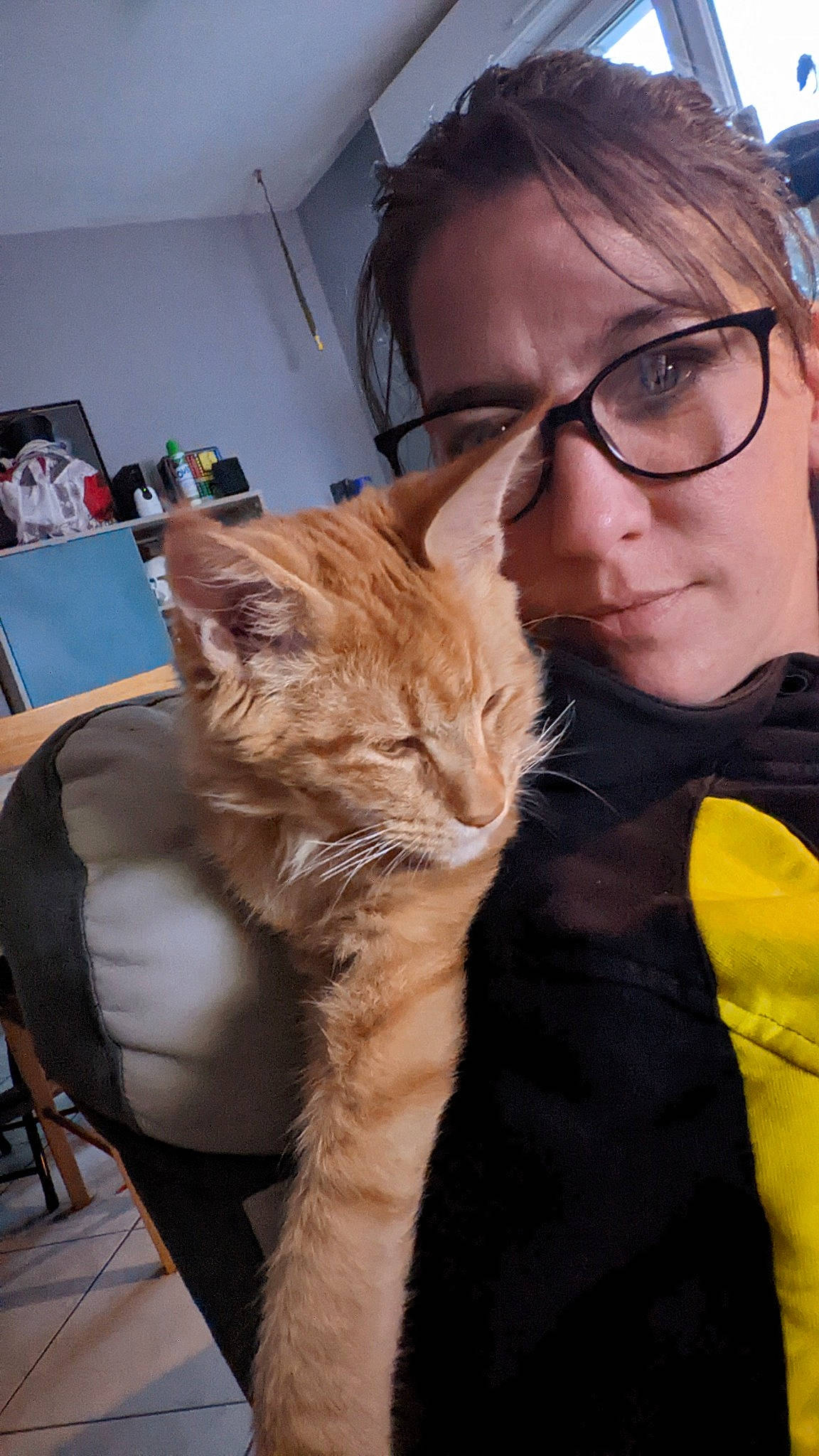 Tyron a rejoint le concours — aidez-le/la à gagner de superbes lots ! carnivore, cat, comfort, domestic_short_haired_cat, ear, eyewear, fawn, felidae, fur, gesture, glasses, hair, iris, lap, mammal, small_to_medium_sized_cats, textile, vertebrate, vision_care, whiskers