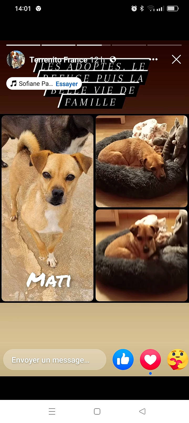 Mati