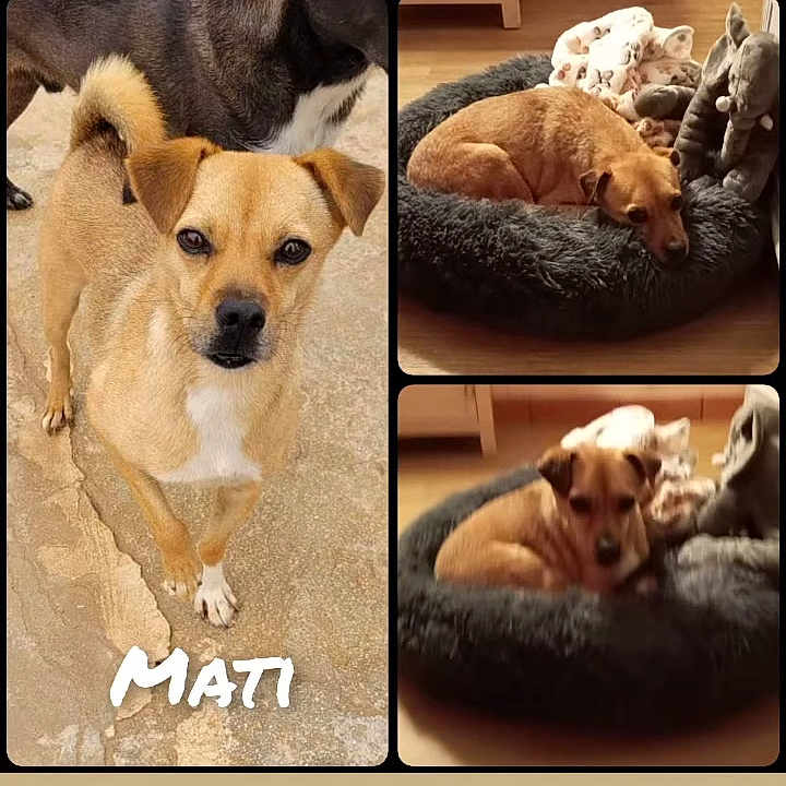 Mati