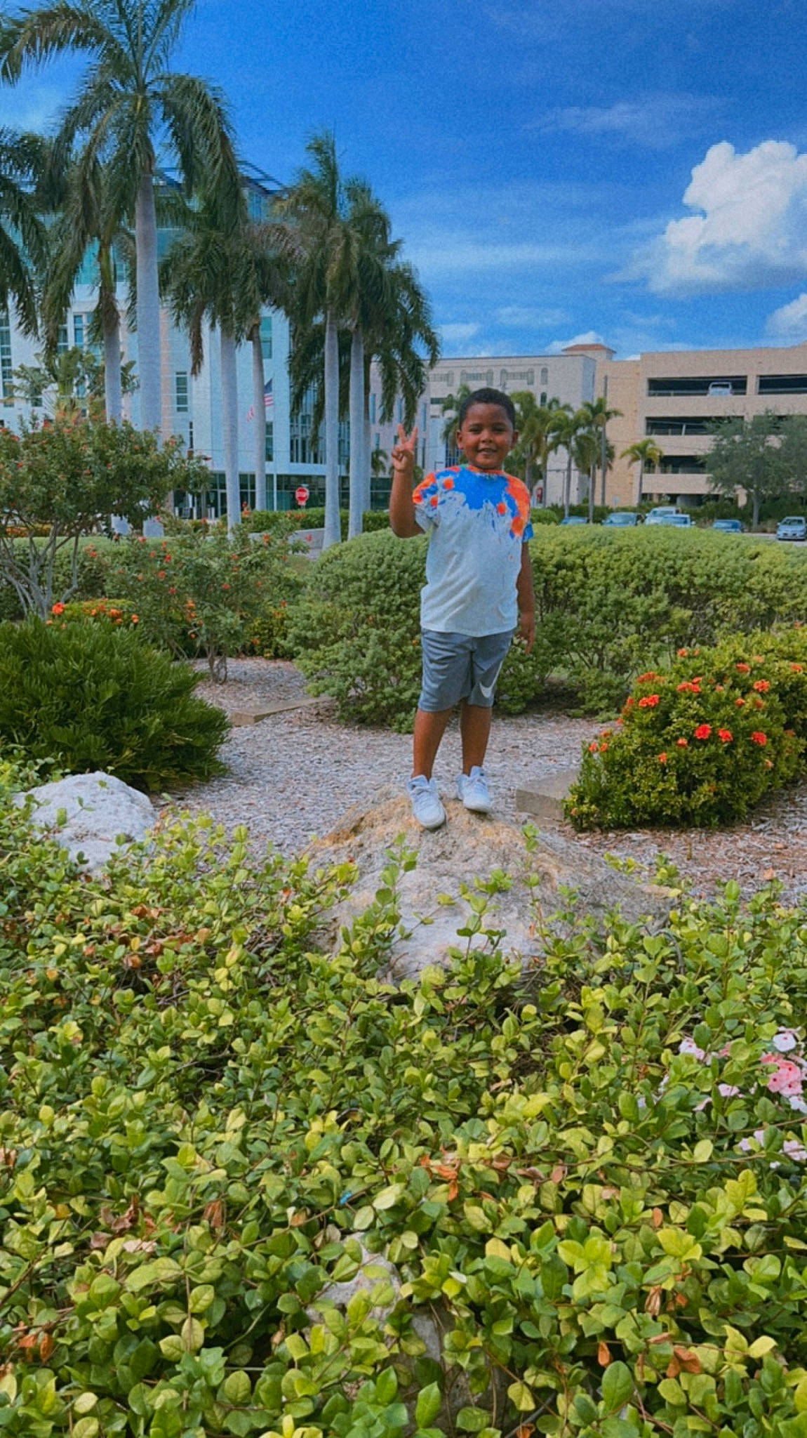 Jayko joined the competition — help win amazing prizes! annual_plant, arecales, cloud, flower, flowering_plant, garden, grass, groundcover, joy, landscape, leisure, palm_tree, people_in_nature, person, plant, shorts, shrub, sky, travel, tree