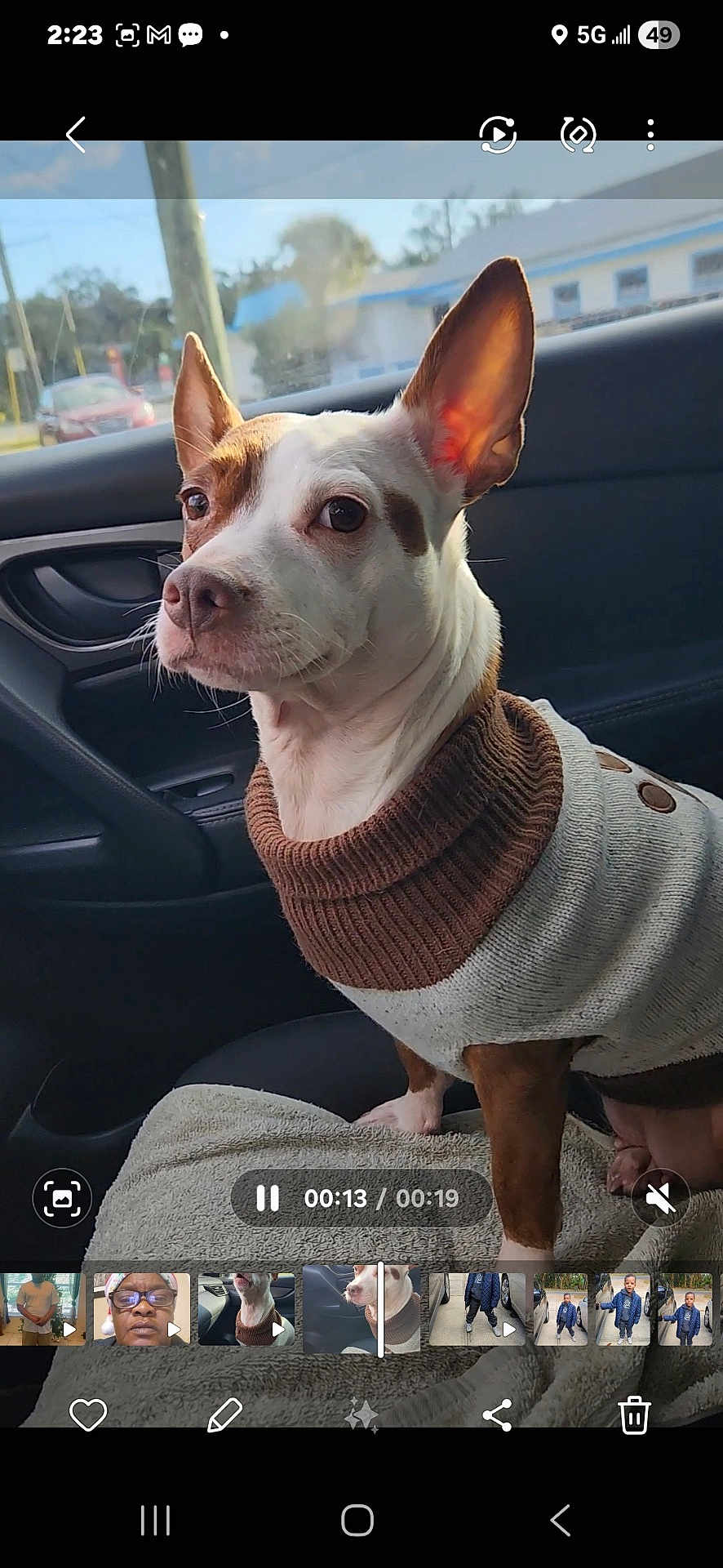 Mango is registered to the contest to win money with this photo: dog, car_interior, sweater, pet, animal, window, seat, ears, brown_and_white, cozy, looking, side_view, domestic_animal, canine, companion, transportation, road, daylight, alert, portrait