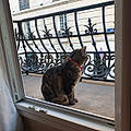 Martine L.