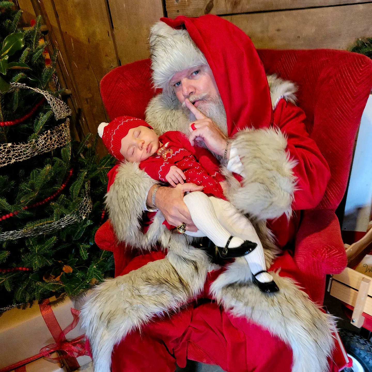 Isla is registered to the contest to win money with this photo: christmas, christmas_decoration, christmas_eve, christmas_ornament, christmas_tree, comfort, event, fictional_character, fur, fur_clothing, happy, hat, headwear, holiday, holiday_ornament, lap, person, plant, red, santa_claus