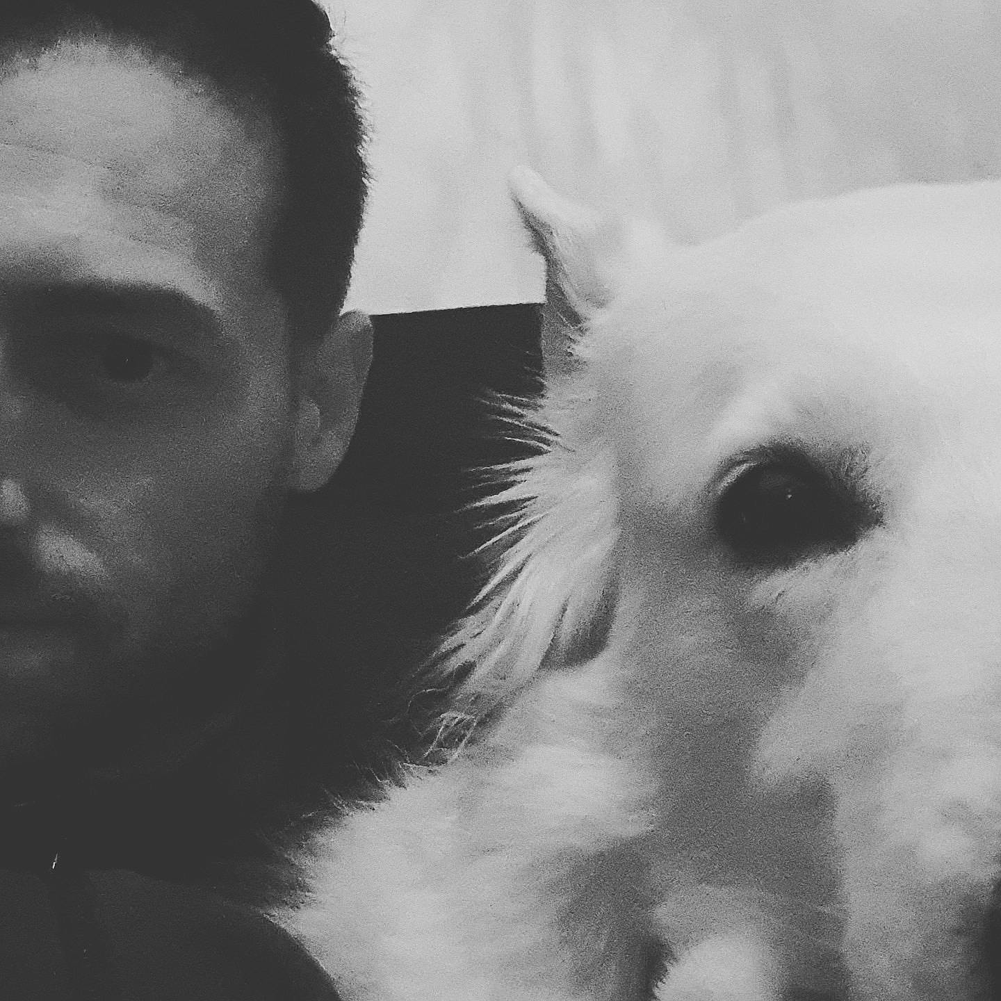 Jaïka a rejoint le concours — aidez-le/la à gagner de superbes lots ! black, black_and_white, canidae, carnivore, cloud, companion_dog, dog, dog_breed, ear, eye, face, fur, head, monochrome, monochrome_photography, nose, photography, sky, snout, white