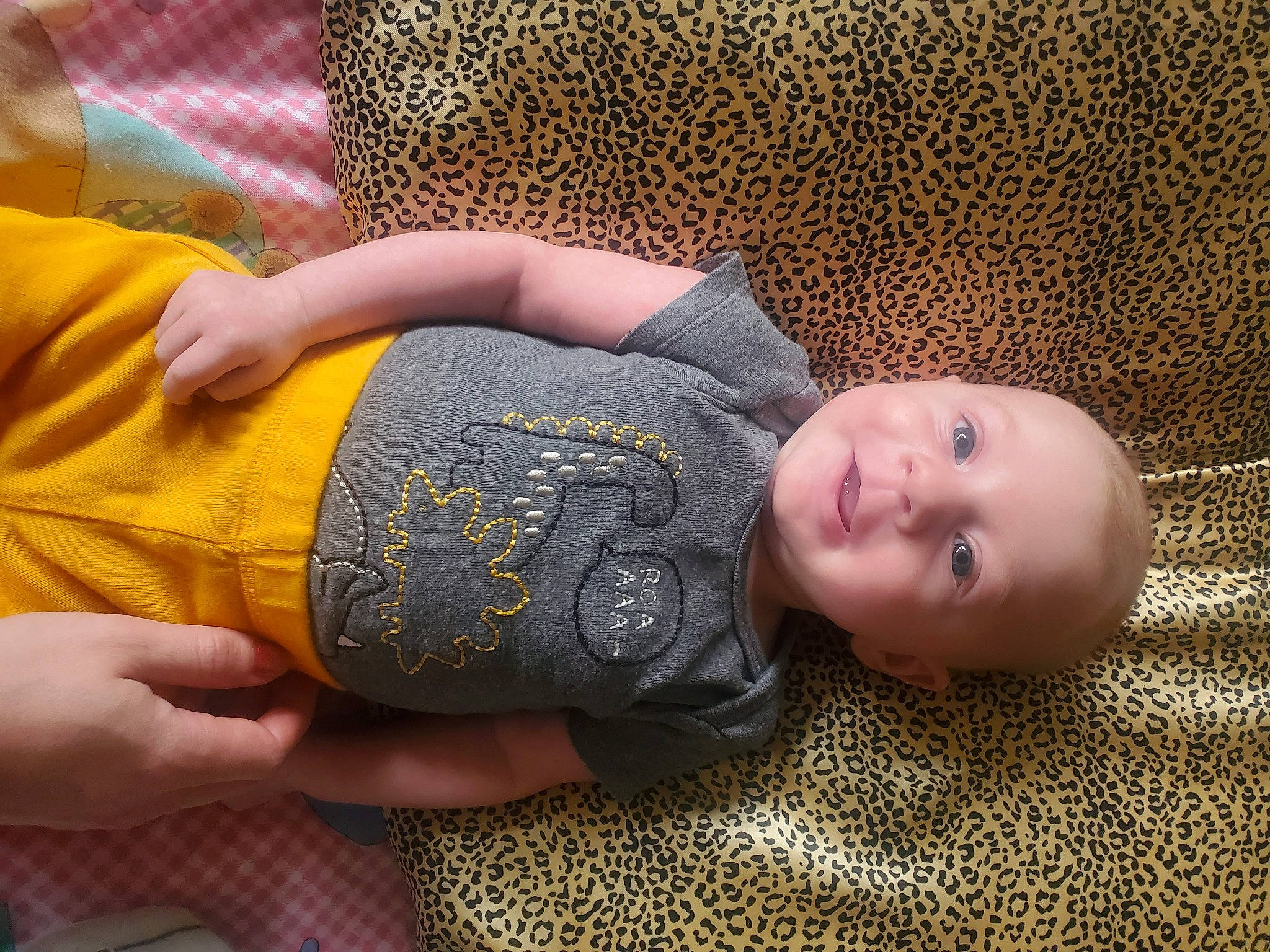 Atticus joined the competition — help win amazing prizes! baby, baby_toddler_clothing, cheek, child, comfort, elbow, finger, gesture, grass, hand, human_body, human_leg, joint, mouth, pattern, person, skin, sleeve, thigh, toddler