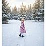Annabelle is registered to the contest to win money with this photo: child, girl, snow, winter, dress, boots, smile, outdoor, forest, trees, snowfall, nature, cold, young, happy, walking, daylight, scenery, season, portrait
