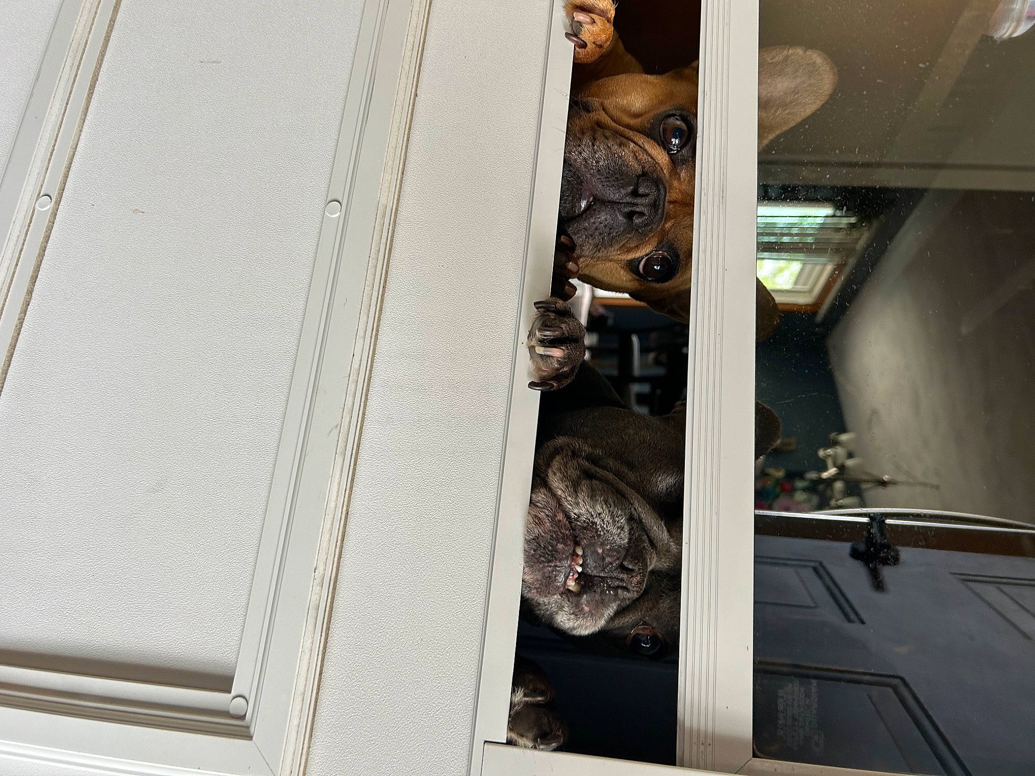 Finn is registered to the contest to win money with this photo: auto_part, automotive_design, automotive_exterior, automotive_tire, automotive_wheel_system, ceiling, door, flooring, glass, machine, metal, motor_vehicle, pattern, rim, room, tire, vehicle_door, wheel, wood